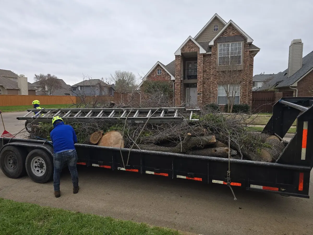 Expert Tree Fertilization with proper safety equipment in Maxeys